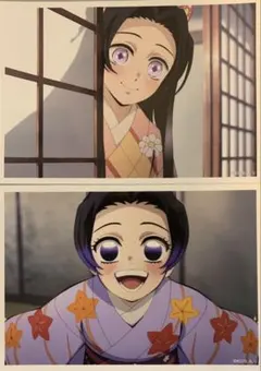 鬼滅の刃 無限城編 場面写ブロマイド 胡蝶しのぶ 栗花落カナヲ セット