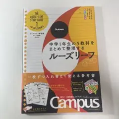 ルーズリーフ参考書中一のサムネイル