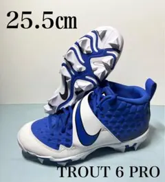 Item thumbnail for item 3a5efa32-03ac-4387-a635-fa65a4599ff0