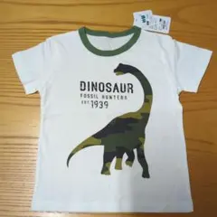 Item thumbnail for item 16fbdec5-4d3c-4b34-aa76-e7d7fd371e13