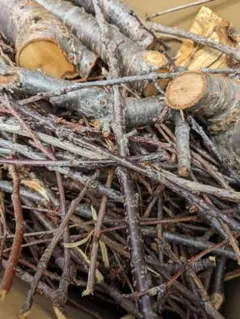 Item thumbnail for item 4fa4775e-af46-4bb7-a9fb-2ab50c823c02