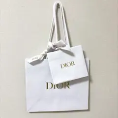 DIORショップ紙袋2個セット