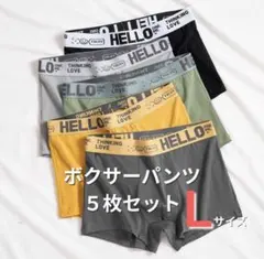 メッシュ Lサイズ ボクサーパンツ メンズ 5枚セット ボクサーブリーフ 通気性