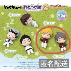 ハイキュー!! ねむらせ隊2 宮兄弟