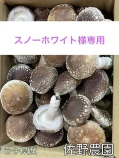 スノーホワイト様専用