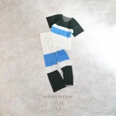 2026年最新】PLEATS PLEASE カラー：ホワイト系 レディース パンツ 
