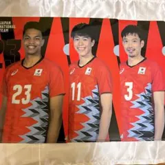 龍神nippon バレーボール男子日本代表 クリアファイル 3点セット