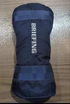 Item thumbnail for item 197ddd19-8a01-4c00-aa52-f874a7ab6add