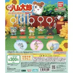 【新品•未開封】とっとこハム太郎 めじるしアクセサリー ちゅー！ 5種セット