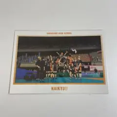 ハイキュー　烏野高校　ポストカード　ハイキュー展