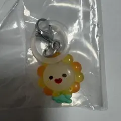 JOCHUM めじるしアクセサリー Bira