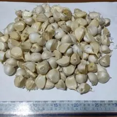 はなちゃん様専用