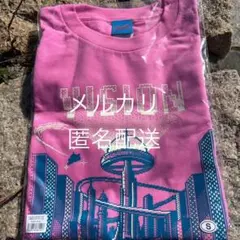 水樹奈々 LIVE VISION 兵庫1日目 限定Tシャツ Lサイズ - メルカリ