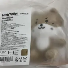 2025年最新】チャンダ ディノの人気アイテム - メルカリ