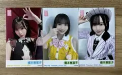 Item thumbnail for item 74166ef1-b78a-4823-aa6c-cca18e193123