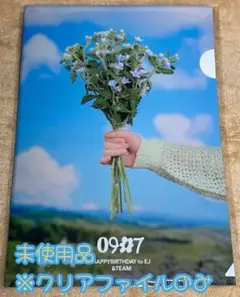 【未使用品】公式グッズ &TEAM EJ うぃじゅ センイル クリアファイルのみ