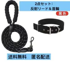 【反射材入り】首輪＆リード 2点セット ナイロン製リードと首輪のセット 1.5m