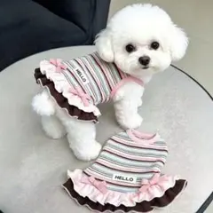 犬服 春秋用 レインボーボーダー 원피스 フリル リボン付き 小型犬 猫服