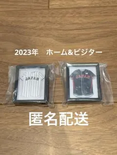 Item thumbnail for item 93f40065-16cd-41b4-bd0a-2f0635fdbe5c