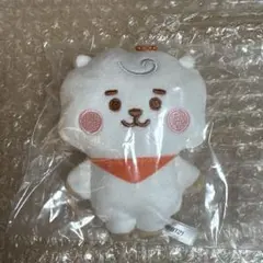 ENHYPEN ヒスン ドール ぬいぐるみ 人形 엔니멀즈 - メルカリ