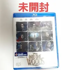 イントゥ・ザ・ウッズ('14米)　Blu-ray