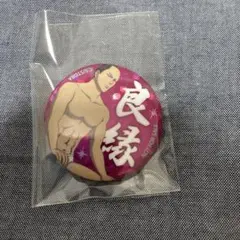 銀魂 2D 一国傾城篇 入場特典 缶バッジ 徳川茂々