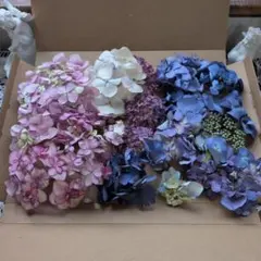 紫陽花 ドライフラワー 花材 アソートセット - メルカリ