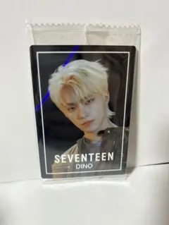 SEVENTEEN セブチ ディノ  ウエハース シール