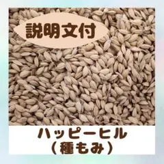 m*a様 【1反目安】ハッピーヒル 300g 自然栽培種もみ 令和7年産 オーク