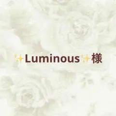 ✨Luminous✨様 リクエスト 3点 まとめ商品