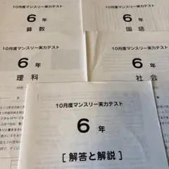 2023年2月受験組　6年　サピックス　テスト　原本　全20回フルセット SAPIX 6年 第2回 志望校判定 サピックスオープン A B フルセット