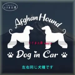 Item thumbnail for item 7d80aa26-1ae3-46c0-ae08-a42482d3e48e