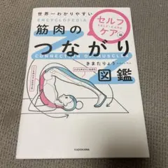 世界一わかりやすい 筋肉のつながり図鑑セルフケア編