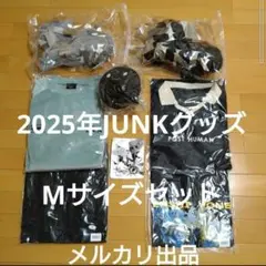 米津玄師 2025 TOUR JUNKグッズ ベロアプルオーバー　Lサイズ 米津玄師さん、1月9日よりスタートのツアー「米津玄師 2025 TOUR