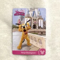 プルート ミニのファンダーランド コレクションカード パルパルーザ コレカ