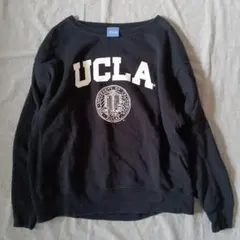 ucla スウェット