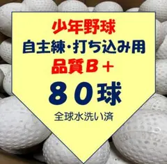 Item thumbnail for item 79e33016-e663-425a-9db3-5873ff34aad2