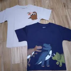 【新品】NEXT 恐竜柄 Tシャツ 2枚セット 104cmのサムネイル
