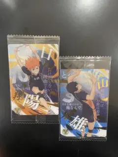 ハイキュー!! 日向翔陽 影山飛雄 ブロマイド 2枚セット