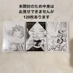 ハイキュー 10thクロニクル 思い出スナップフォトカード 全120種