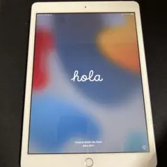Apple iPad (第７世代) Wi-Fi + Cellular 32GB