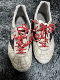 ミズノモレリア2japan クロスステッチ