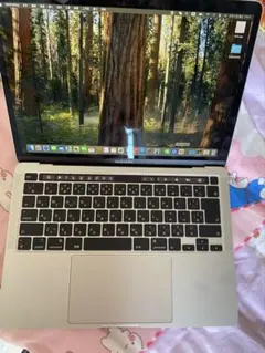 Apple MacBook Pro