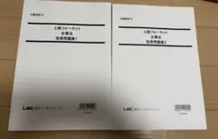 全日本模試行政書士公開模試 2024 LEC 第1回 第2回 セット 行政書士