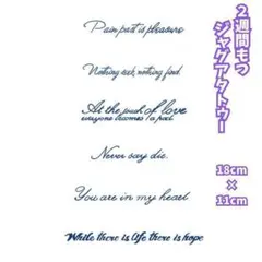 H☆M様おまとめ2枚セット　HC-034　N-10 ジャグアタトゥー　英字