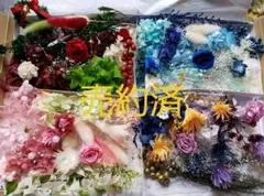 プリザーブドフラワー、ハーバリウム花材詰め合わせセットC