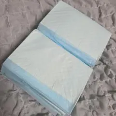 Item thumbnail for item da1c5202-8140-47a4-9584-3d8c27203bb7