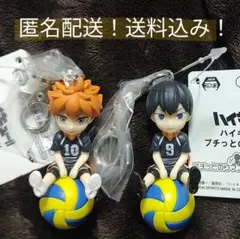 【匿名配送】タグ付　ハイキュー!!　プチッとのりマス　日向翔陽＆影山飛雄　セット