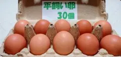 源さんの平飼い卵.M〜2Ｌ30個10個入り3パック　朝採れ新鮮　常温発送のサムネイル