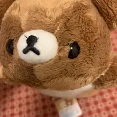 チャイロイコグマ　ぬいぐるみ　ペンポーチ